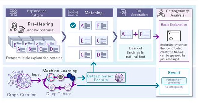 Fujitsu, Kyoto University Develop Explainable AI Verification System for Estimating Disease-Causing Potential of Genetic Mutations