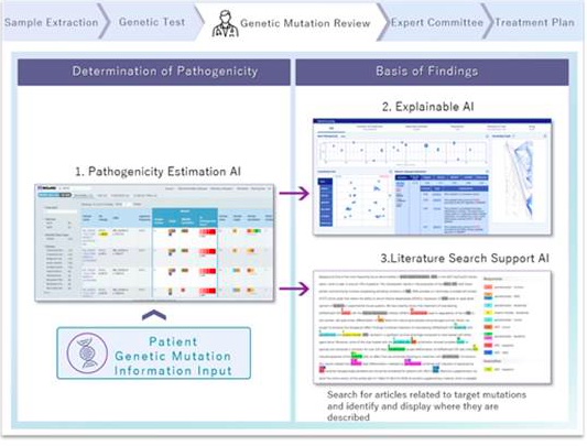 Fujitsu, Kyoto University Develop Explainable AI Verification System for Estimating Disease-Causing Potential of Genetic Mutations