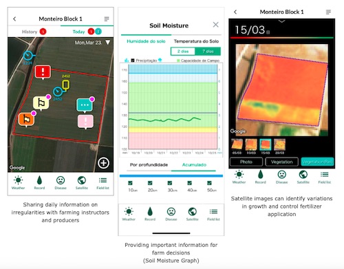 NEC and Kagome to Provide AI-enabled Services that Improve Tomato Yields