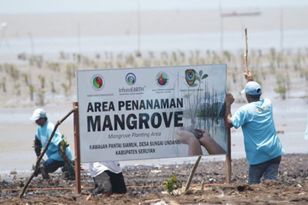 Rimba Raya Biodiversity Reserve Collaborates to Restore Mangrove Forests in Seruyan