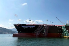 Mitsubishi Shipbuilding Holds Christening Ceremony for LPG Carrier 