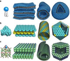 Progress in Self-assembling Nanomaterials