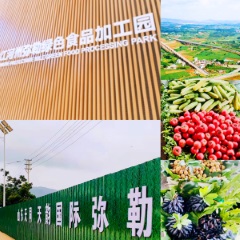 天韵国际（6836.HK）完成收购位于云南省红河州的建设用地 