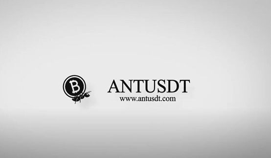 Army Ant Limited Announces the Release of Its Encryption Mixer ANTUSDT