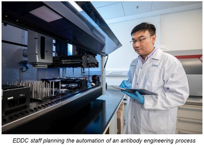 EDDC staff planning the automation of an antibody engineering process