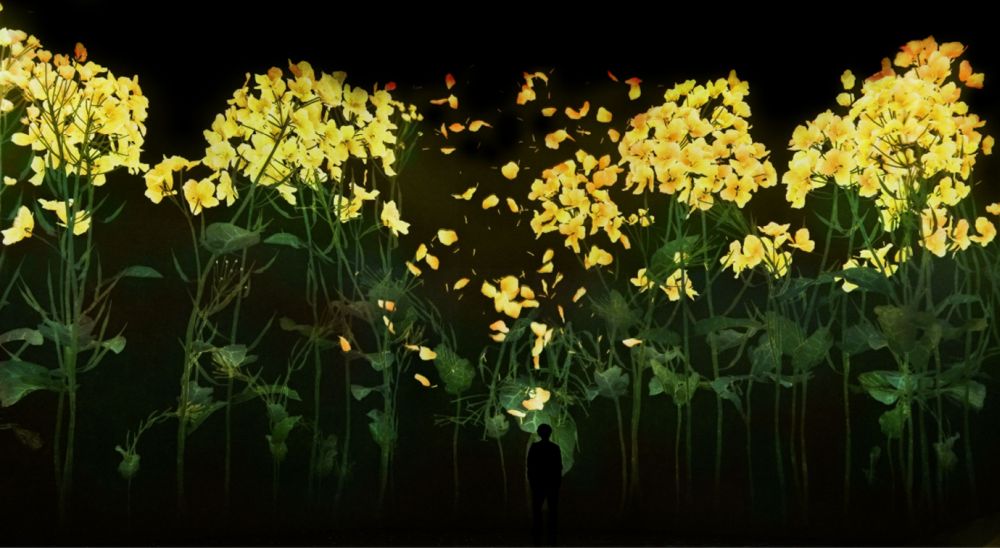 Flowers repeat the cycle of birth and death, proliferation and extinction, changing along with the seasons. As people touch them or as they are influenced by other works, the flowers fall and die. teamLab, Proliferating Immense Life - A Whole Year per Year &copy; teamLab