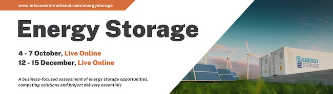Interactive Energy Storage Online Workshop is Back by Popular Demand