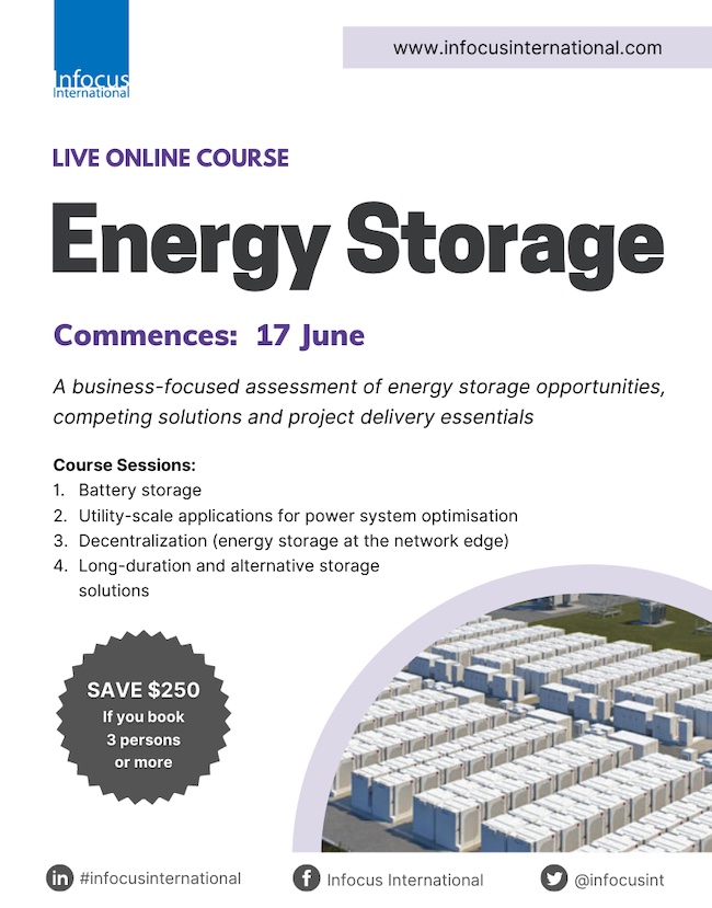 Interactive Energy Storage Online Workshop is Back By Popular Demand