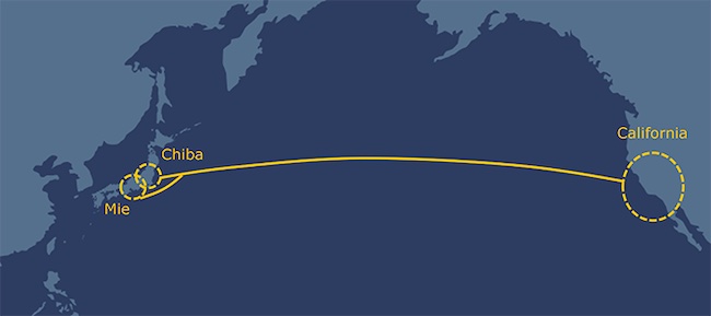 NEC to Build New Trans-Pacific Cable