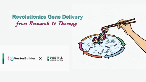 Co-Led by Legend Capital, Top Gene Delivery Enterprise VectorBuilder  Secures CNY410mn in Series C Round, Business News - AsiaOne