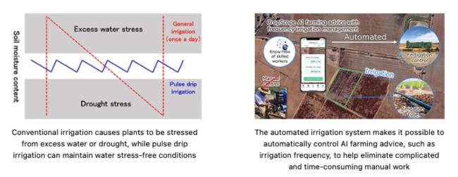 DXAS, a joint venture established by Kagome and NEC, to provide AI farming advice and automated irrigation control services for pulse drip irrigation