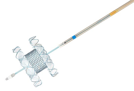 Niti-S Hot SPAXUS™ Stent & Electrocautery Stent Delivery System