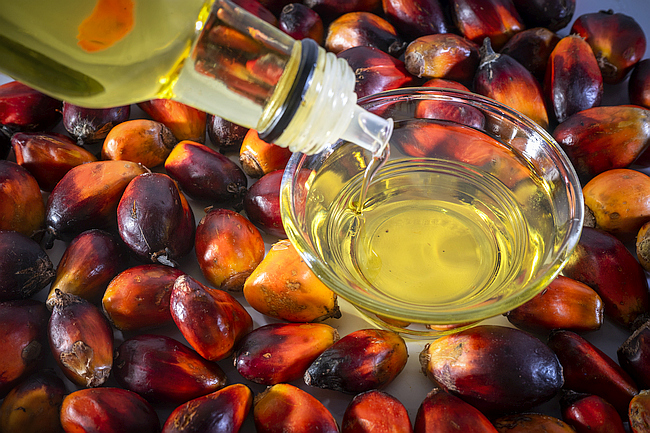 Indonesia Palm Oil in Indian Market: Sustainable and Reliable
