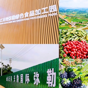 Tianyun International (6836.HK)'s Acquisition of a Parcel of Land in Honghe Prefecture, Yunnan Province
