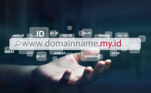 my.id Domain Name Available Starting From US$1