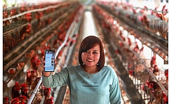 1982 Ventures backs Indo AgriTrading Marketplace PasarMIKRO