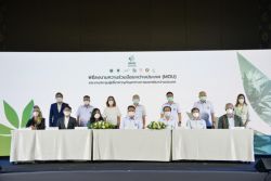 泰國成立國際醫用大麻研究中心