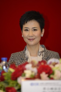 中国电力国际发展有限公司宣布二零一四年度中期业绩
