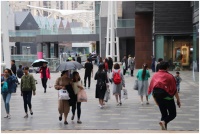 嘉年华国际节假日客流量屡创新高 实现“高端旅游”的战略目标