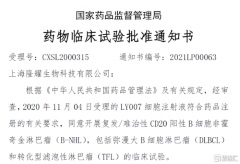 中國生物科技服務(8037.HK)：細胞治療和精准檢測業務雙輪驅動 股東增持彰顯發展信心