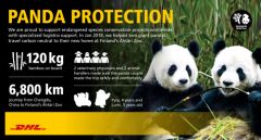 DHL transports panda couple from China to Finland