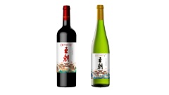 王朝酒业2022年产品升级 以更时尚、年轻化新品激发品牌活力