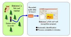 Fujitsu Support for Blakiston's Fish Owl Habitat Survey Honored by Japan Nature Conservation Awards