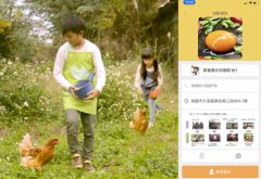 素朴な魅力がある台湾農村観光