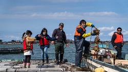 The GrowHub Innovations Company and Tangobar Announce Partnership for Sustainable Regional Community Development and ASEAN market penetration