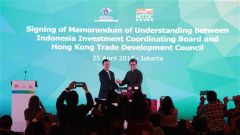 Hong Kong-Shanghai Mission Explores Infrastructure Potential in the Philippines and Indonesia