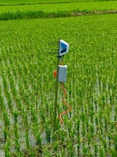 ISID、農業IoT事業のベジタリアに出資