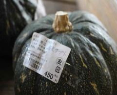 ISID、ガードタイム、シビラ、ブロックチェーン技術を活用して地方創生を支援する研究プロジェクトを立ち上げ