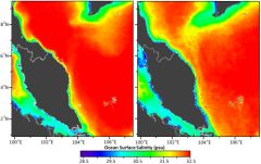 Tracking Ocean Salinity from Space using Colour