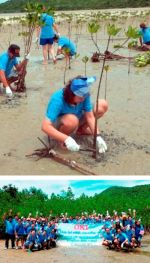 OKI、タイ王国東部で海岸地域自然保護のためのマングローブ植林を実施