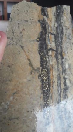Outcrop Gold Discusses the Epithermal Vein System on Its Cauca Project