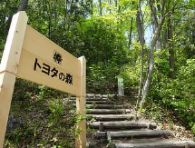 トヨタの森が「第３回 みどりの社会貢献賞」を受賞