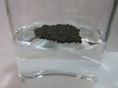 다나까 귀금속 공업：‘2020년도 일본 촉매공업협회 기술상’을 수상