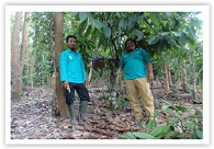 WWF and Toyota Form Global Partnership, Join Forces on Living Asian Forest Project and Climate Change
