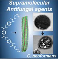 Recycled Plastic Proves Effective in Killing Drug-Resistant Fungi