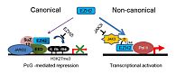 Singapore Scientists Discover New Pathways Leading to Cancer Progression