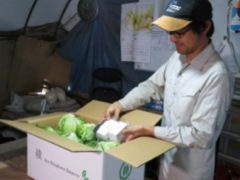 ISID、ブロックチェーンで農産物の生産・流通・消費履歴を保証するトレーサビリティ実証実験を開始