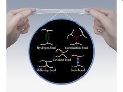 Elastomers develop stronger bonds of attachment