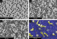 Gold squeezed into micro-Velcro