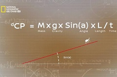 WARC Prize for MENA Strategy 2018   winners announced